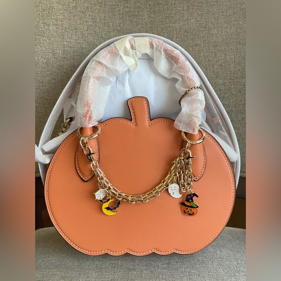 NWT！2PCS COACH PUMPKIN BAG WITH HALLOWEEN CHAIN (COACH CU868)
BRASS/FADED ORANGE - Picture 1 of 13